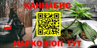 дмт Партизанск